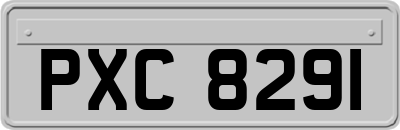 PXC8291