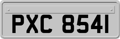 PXC8541