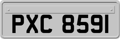 PXC8591