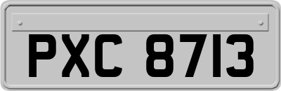 PXC8713