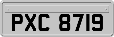 PXC8719