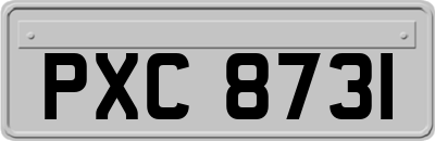 PXC8731