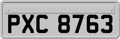 PXC8763