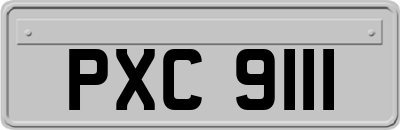 PXC9111