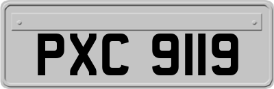 PXC9119