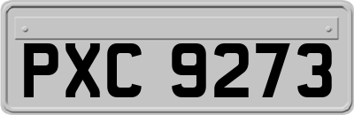 PXC9273