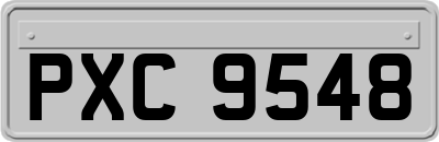 PXC9548