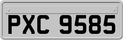 PXC9585