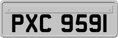 PXC9591