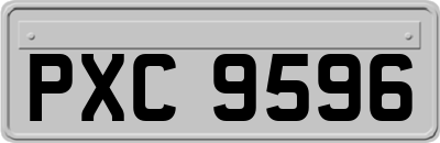 PXC9596