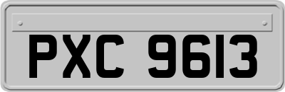 PXC9613