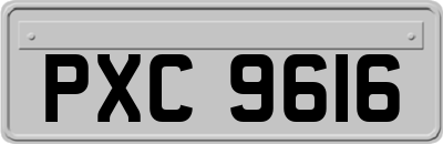 PXC9616