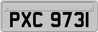 PXC9731