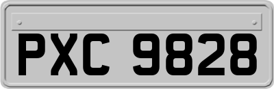 PXC9828