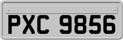 PXC9856