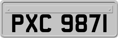 PXC9871