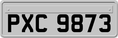 PXC9873