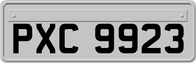 PXC9923