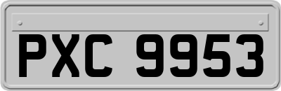 PXC9953