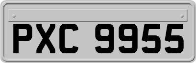 PXC9955