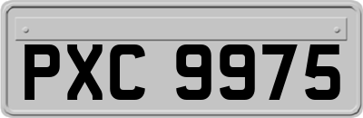 PXC9975