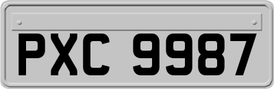 PXC9987