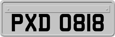 PXD0818