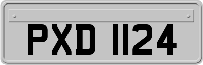 PXD1124