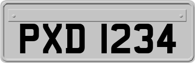 PXD1234