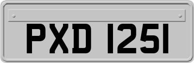 PXD1251