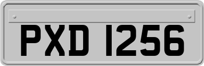 PXD1256