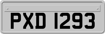 PXD1293