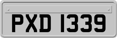 PXD1339