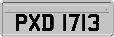 PXD1713