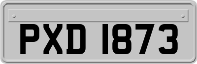 PXD1873