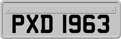 PXD1963