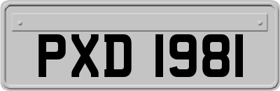 PXD1981