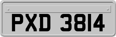 PXD3814