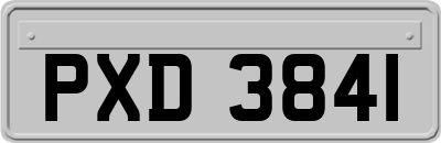 PXD3841