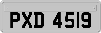 PXD4519