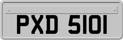 PXD5101