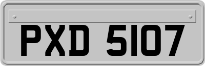 PXD5107