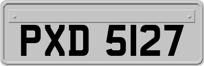 PXD5127