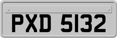 PXD5132