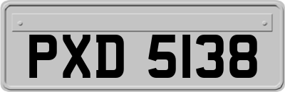 PXD5138