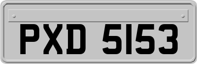 PXD5153