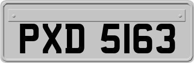 PXD5163