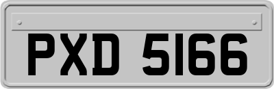 PXD5166