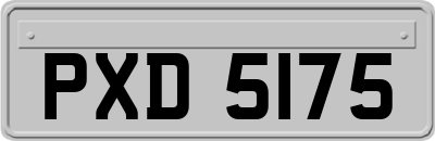 PXD5175