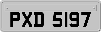 PXD5197